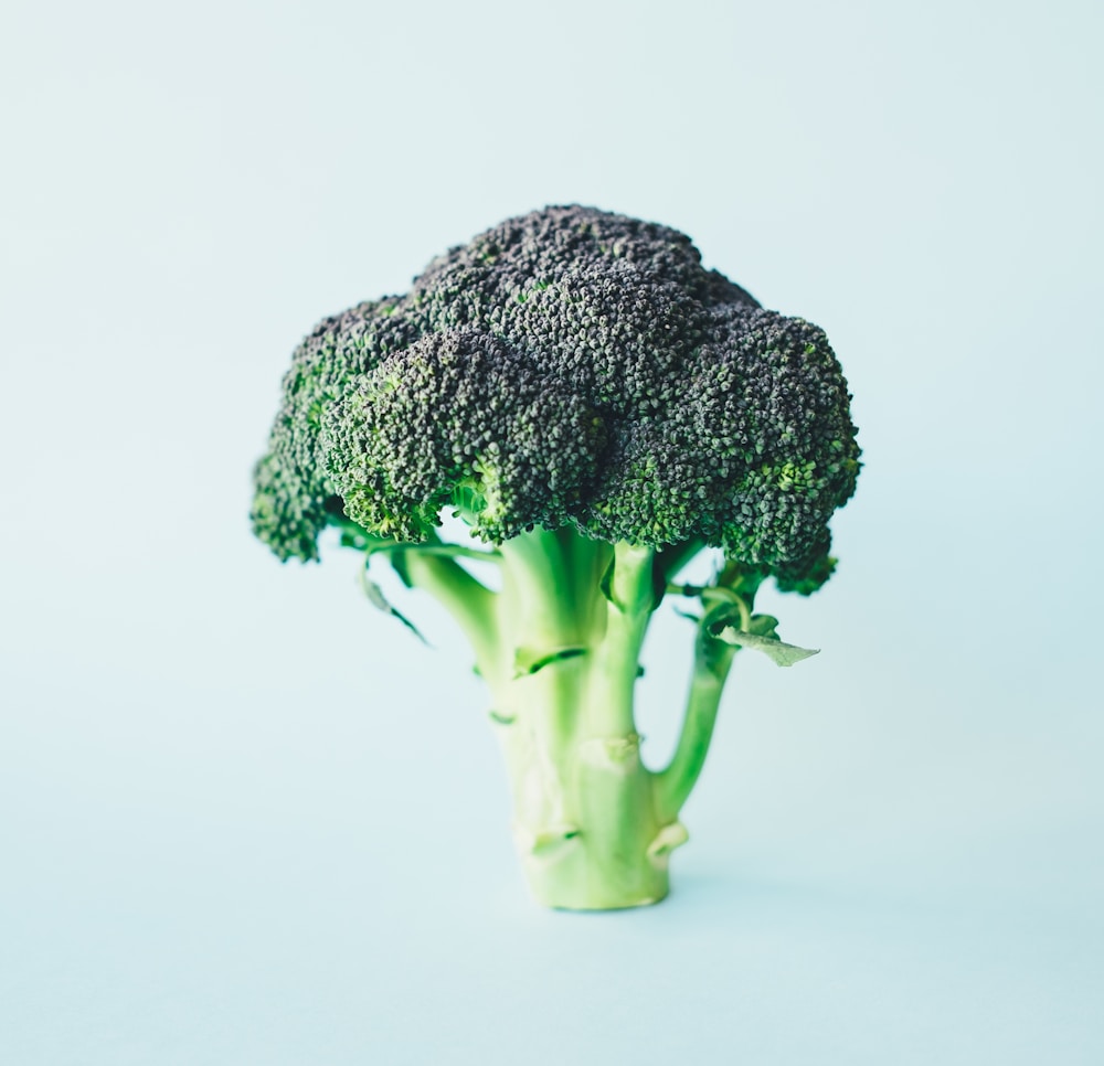 Fresh green broccoli florets